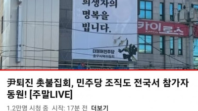 더불당의 이태원에 관한 속내ㆍㆍ [고맙습니다] 이태원 참사 희생자의 명복을 빕니다. 미친