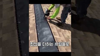생활 속 고수들