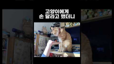 옳지 잘한다