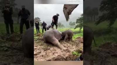പല മനുഷ്യരിലും നഷ്ടപ്പെട്ടുകൊണ്ടിരിക്കുന്ന ആത്മബന്ധം അമ്മയുംകുഞ്ഞും😍