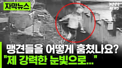 눈빛으로 제압하는 법을 알게 되었습니다. #자막뉴스
