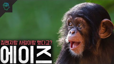 [반박한다] 그러니까...사람이랑 침팬지랑 했다고? '에이즈' <무당편도 그렇고 도대체가 구독자수 비례해서 엉터리 영상들>
