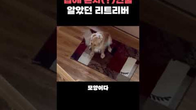 엥..? 집에 혼자 인줄 알았는데...