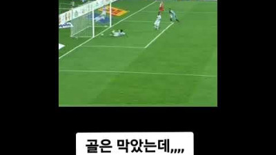 외부) 몸을 날려 골을 막았는데...