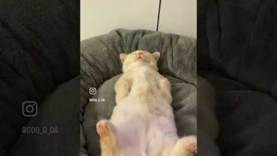 오늘도 수고했어요 #복나잇