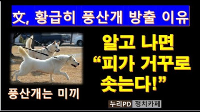 문재인 전 대통령이 풍산개를 파양한 것은 '대통령 기록물 관리에 관한 법령'을 개인이 위탁관리 할 수 있도록 개정하자고 제안한 것/누리PD-TV