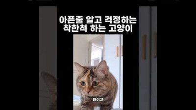연차쓰고 회사를 안갔더니