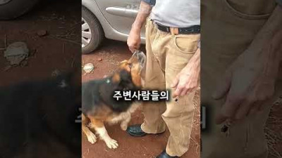 8년만에 반려견을 찾아간 아저씨ㅠㅠ