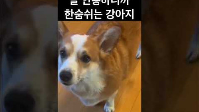 (소리ON) 한숨대마왕ㅋㅋ