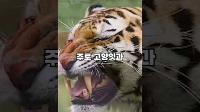 고양이가 발 냄새 맡고 충격받는 이유