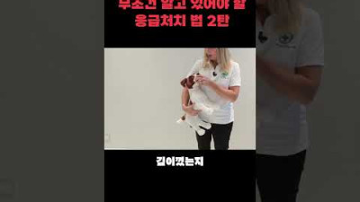 [하임리히법] 강아지 목이 막혀 숨을 못쉬는 상황..