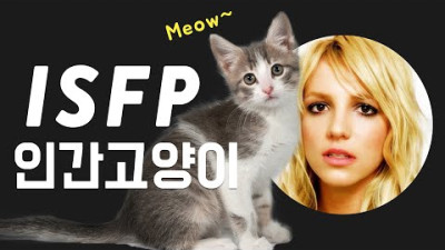 ISFP, 인간고양이 같은 유형 (부제 : INFP와의 차이점)