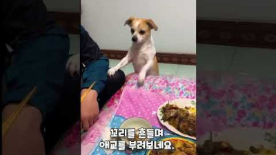 아빠 한 입만 주세요