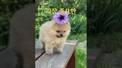 외부) 한국인 대다수가 모르는 계란삶을 때 돈아끼는 획기적인 방법(구독자님 꿀팁)