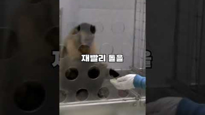 임금차별 실험