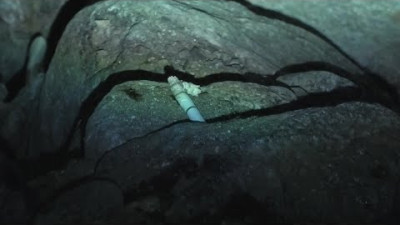 [다리 밑에서 자식 걱정하는 아버지의 이야기] 아빠.. 미안해.. 여기 계실 줄은 몰랐어… <재미나고 정보, 설 특집 같다>