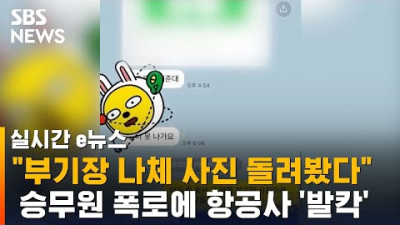 동기들, 부기장 나체 사진 돌려봤다 폭로…항공사 '발칵' / SBS / 실시간 e뉴스