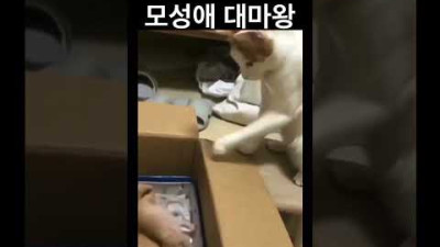 모성애 란 ㅋㅋ
