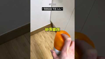 와.. 욕 나오는 바퀴벌레의 진화 수준 (미친 생존력)