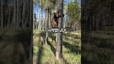와... 챙기길 정말 잘했다...!!! #shorts