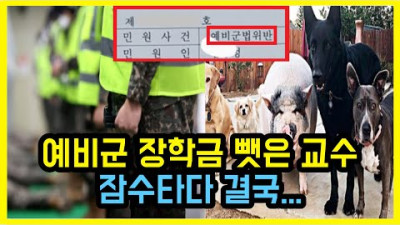한국외대 예비군 교수, 결국...