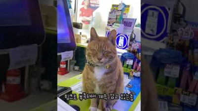 우리 편의점 알바생이 오래 일하는 이유(3년째 근무중)