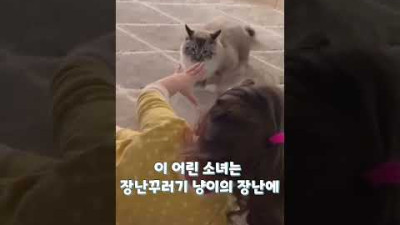[장난치며 놀기] 아기와 고양이는 사랑입니다