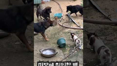 독사 수난 시대