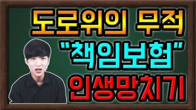 자동차 책임보험만 가입하면 무적이다