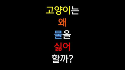 고양이는 왜 물을 싫어할까? #shorts