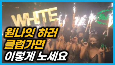 강남 유명 클럽에서 밤마다 일어나는 일 (초보 클럽 꿀팁)