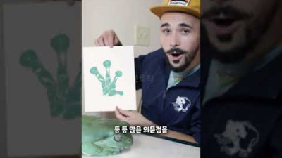 거대 개구리의 정체