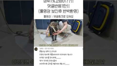 성격이 너무 좋은 고양이 호동 : 상위1%고양이 댓글반응1탄