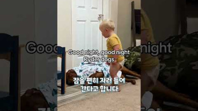 아기와 강아지는 사랑입니다 Babies and puppies are love #shorts