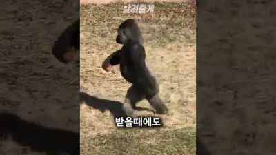 이정도면 사람 아니냐고요ㅋㅋㅋ#shorts