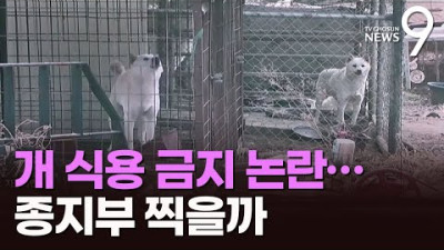 '개 식용 금지' 논란…종지부 찍을까 [따져보니]
