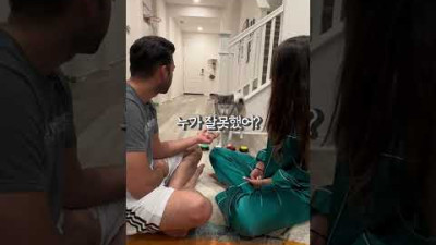 단호한 댕댕이 판사