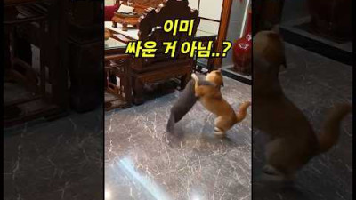 싸우지 않고 이기는 방법