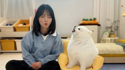 강아지한테 뽀뽀하는 척하다 가만히 있었더니 ㅋㅋㅋ