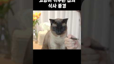 강아지 키우는 집이랑은 완전히 다른 풍경