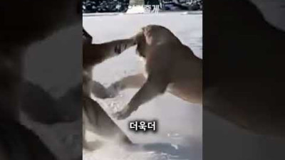 특별한 우정을 나누는 삼총사ㄷㄷ