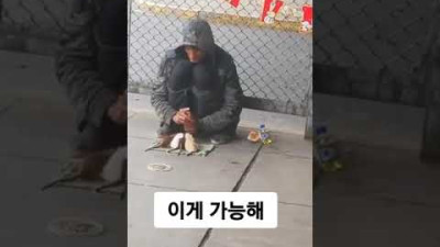외부) 이게 가능해 <생쥐 묘기>