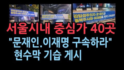 전국민 대회 하루 전 21일 새벽, 서울 광화문~시청~서울역~용산삼각지 40곳 일제 게시!