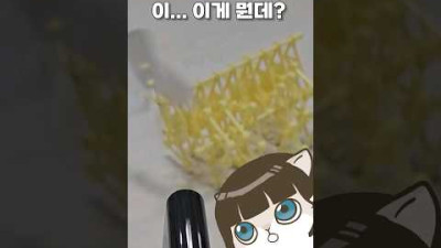 인공 생물 입양함 ㄷㄷ