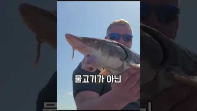 엄습해오는 거대한 무언가
