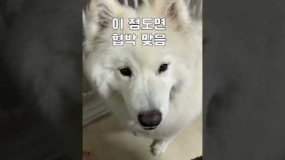 이 정도면 협박 맞음..