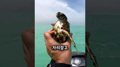 무임승차는 불법입니다