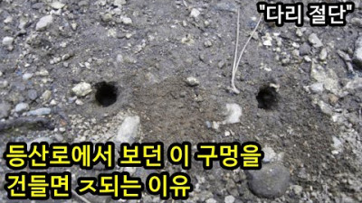 한국에서 이 구멍을 보면 내버려둬야 하는 이유