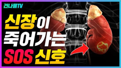 신장이 망가지면 무조건 초기에 나타나는 증상들