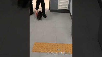퇴근하는 아빠를 마중나간 #아기강아지